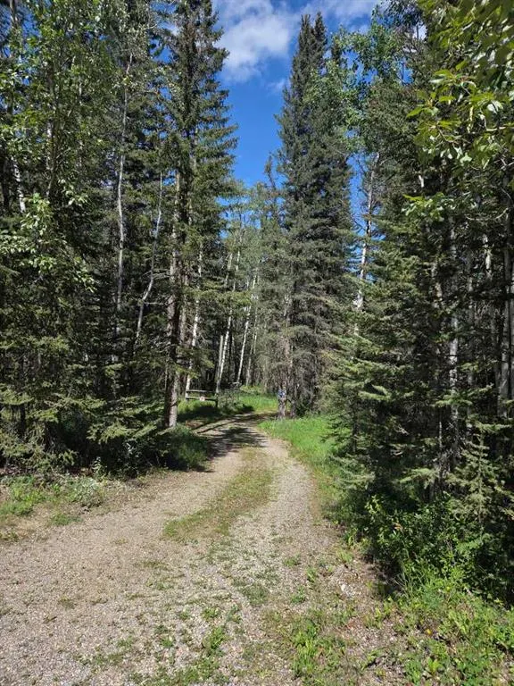403 29542 Range Rd 52