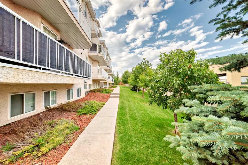 50 Westland Road, #302