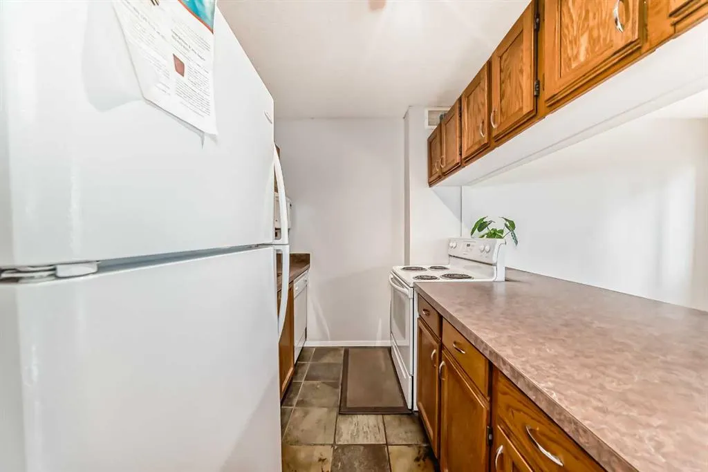235 15 Avenue SW, #301