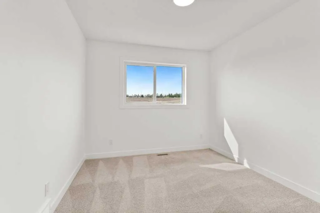 16 Violet Point