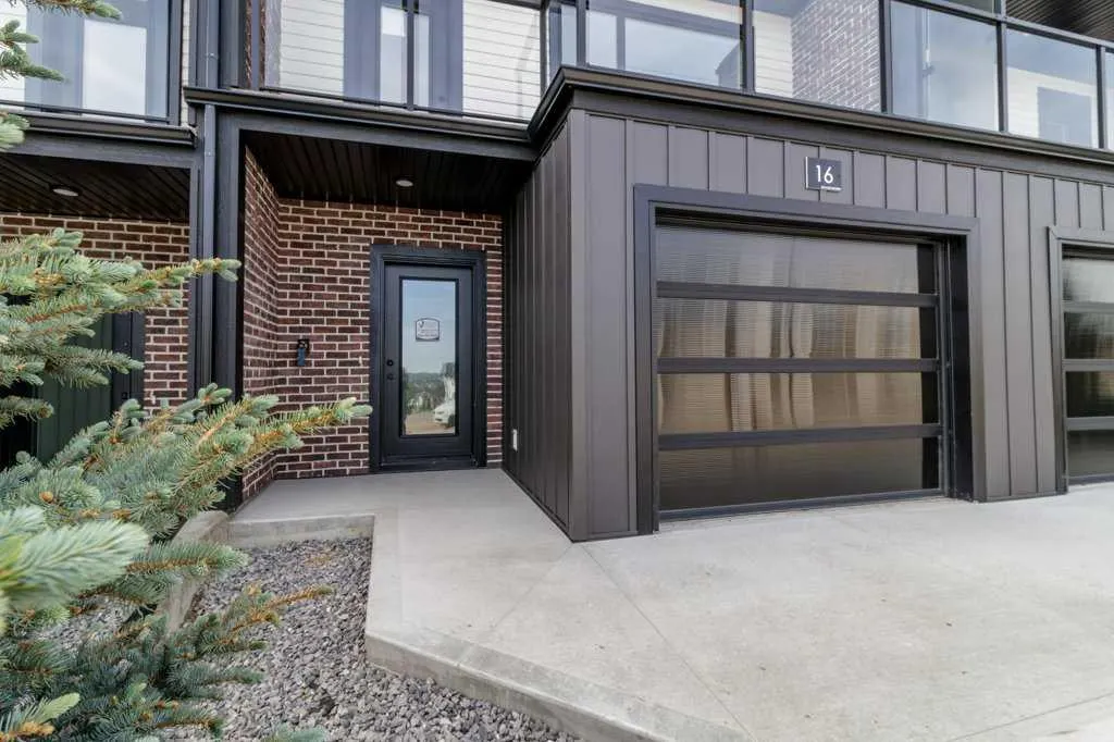 16 Violet Point