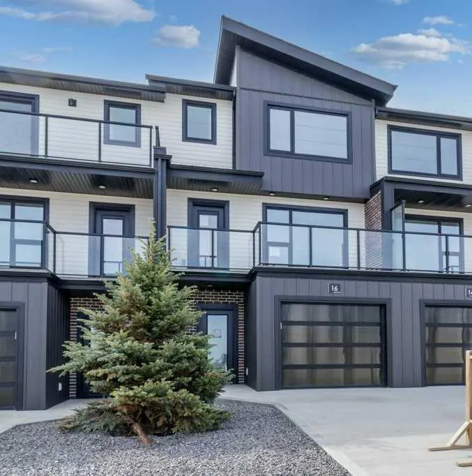 16 Violet Point