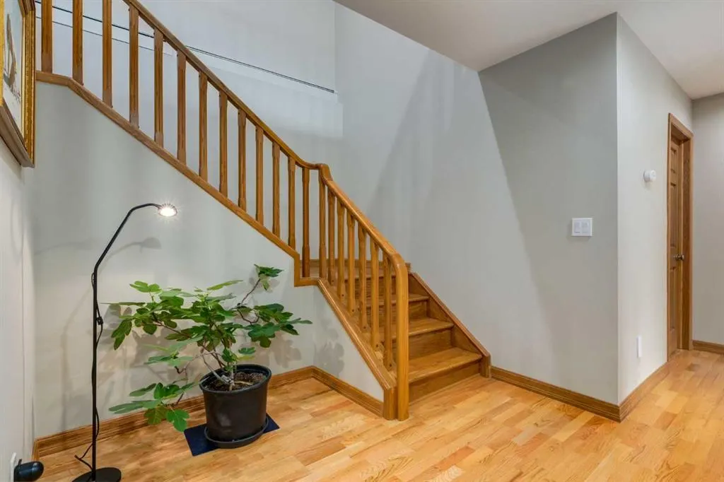 39 Springside Street