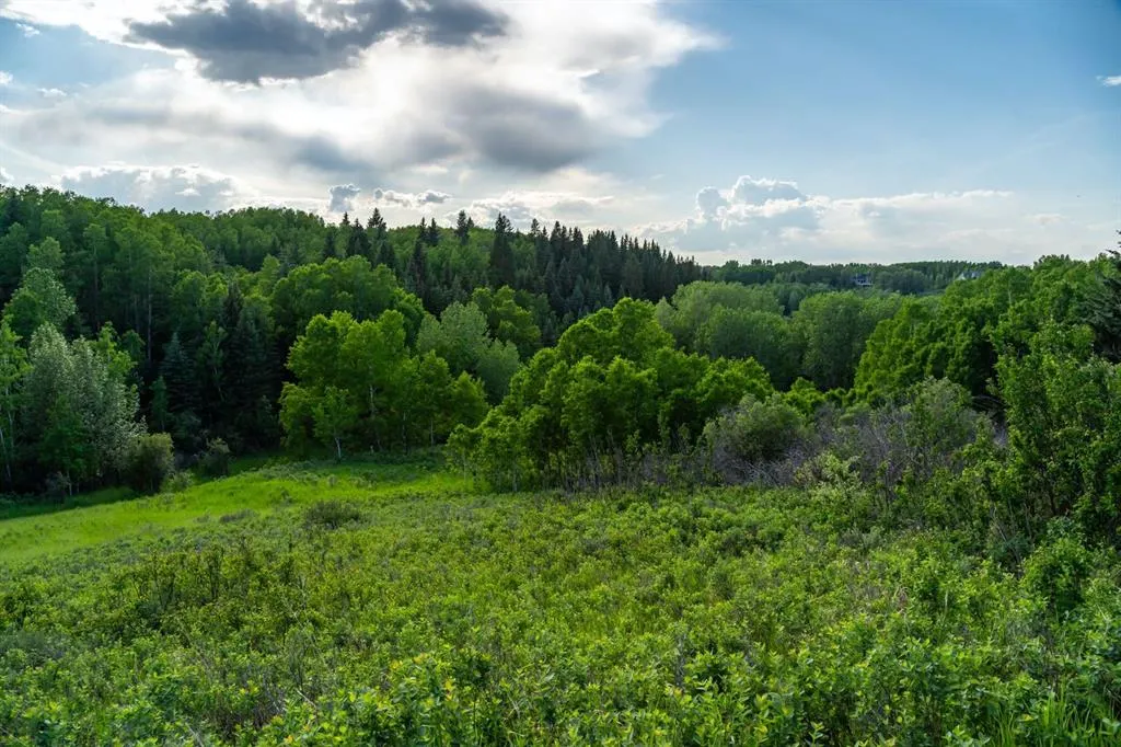 32 Wolfwillow Ridge