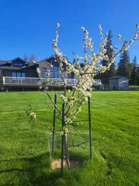112 MEADOW PONDS