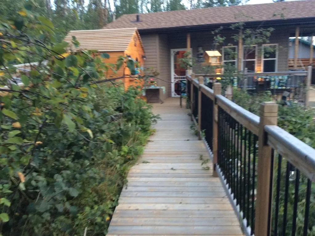 621 Diamond Willow Drive