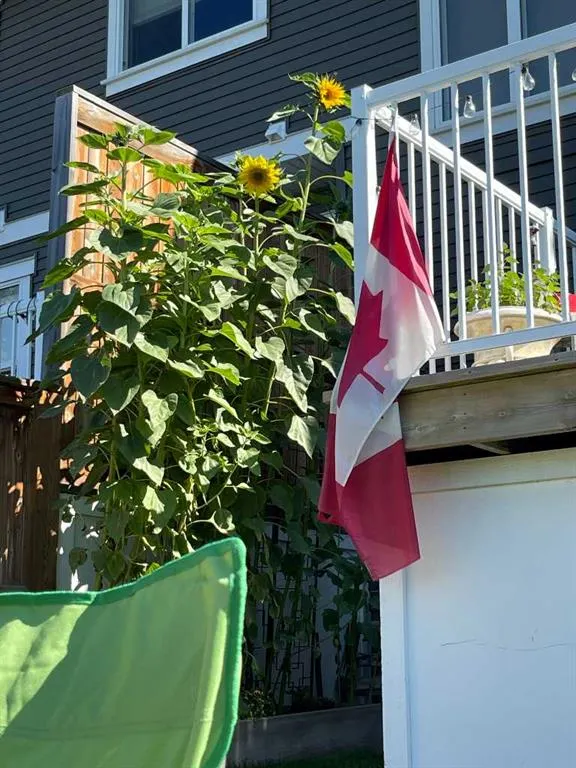 182 River Heights Crescent