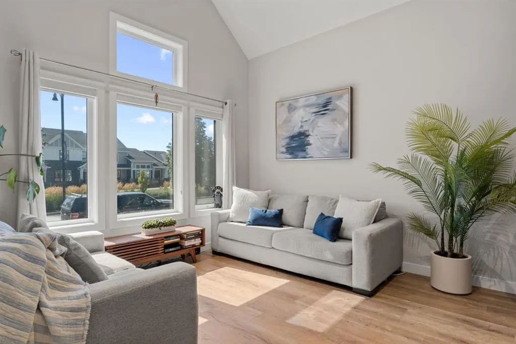24 D'arcy Boulevard