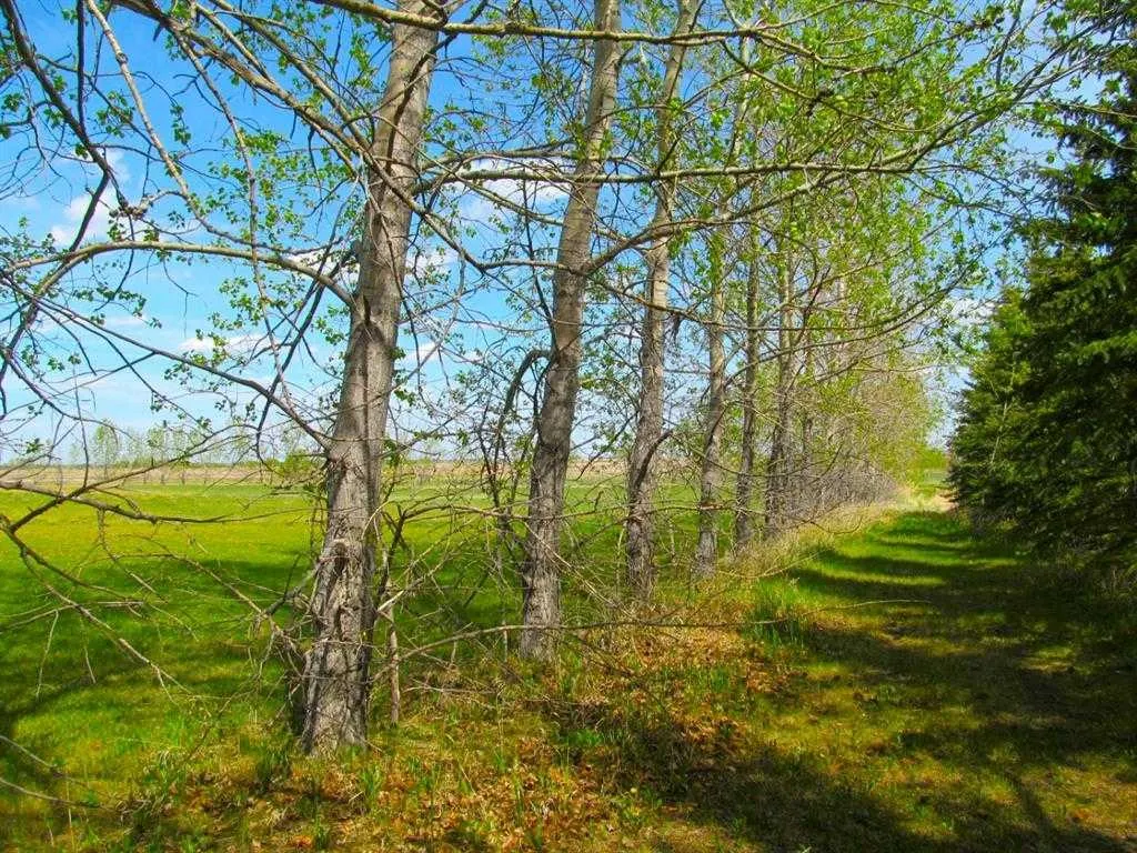275182 Glenmore Trail