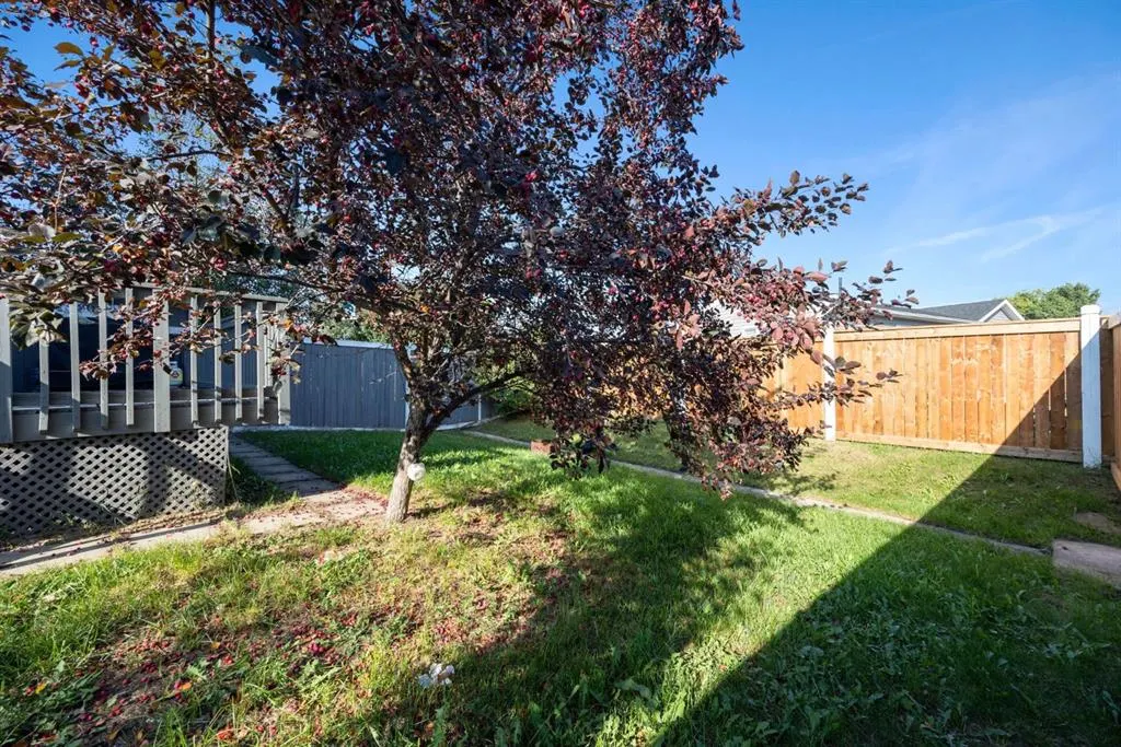 187 Bear Paw Drive