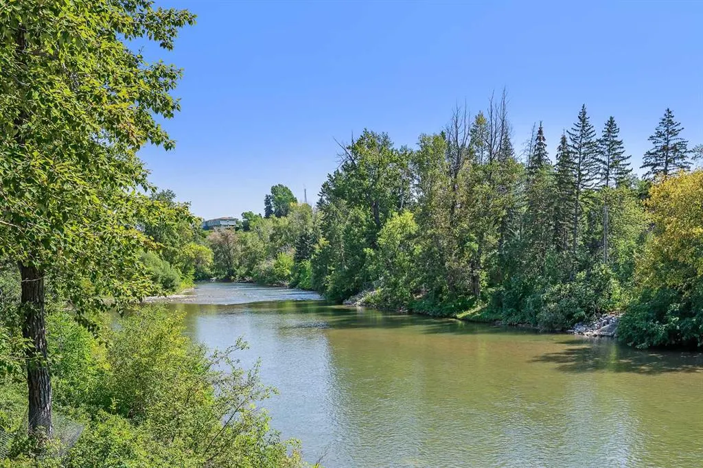 60 24 Avenue SW, #401