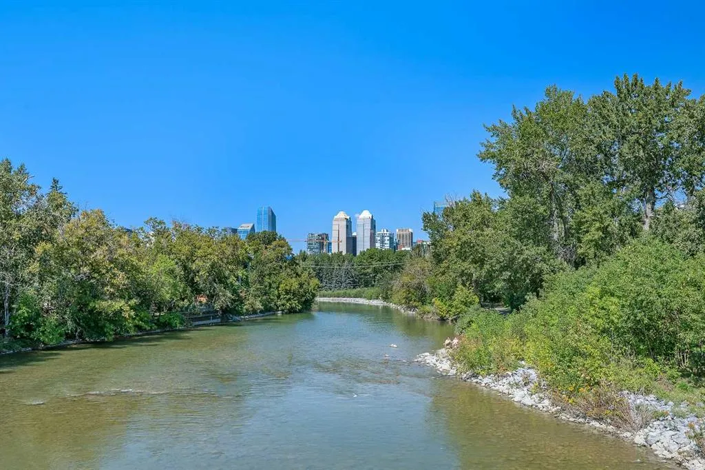 60 24 Avenue SW, #401