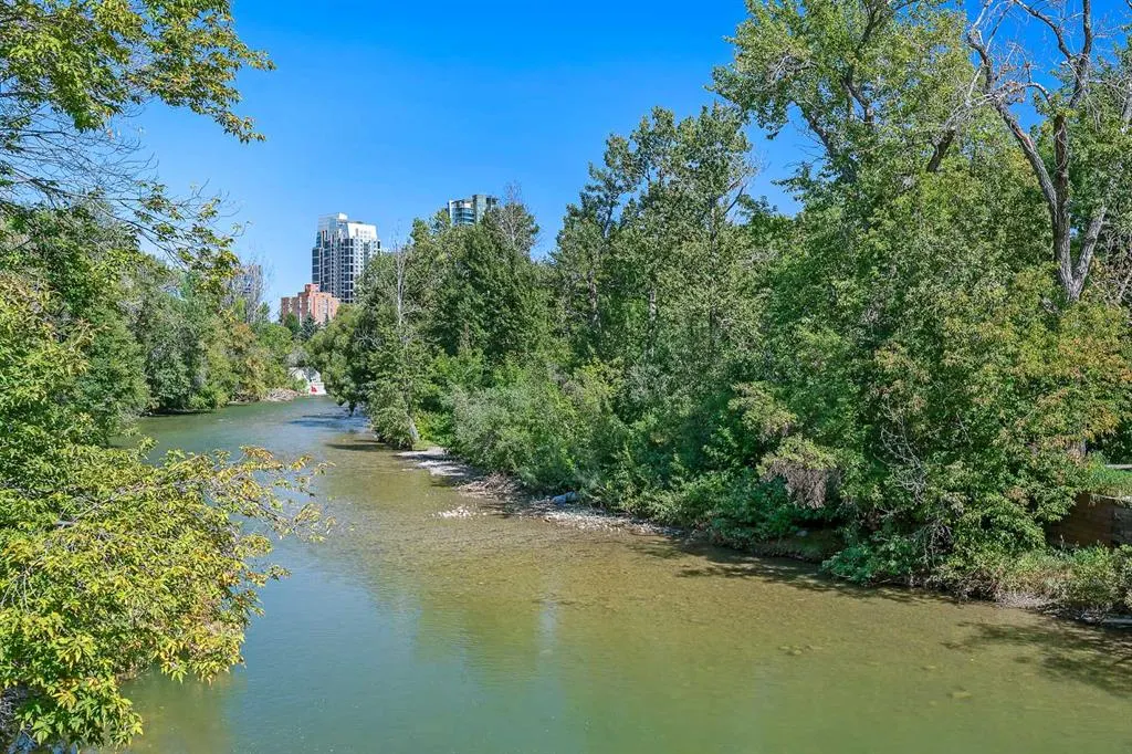 60 24 Avenue SW, #401