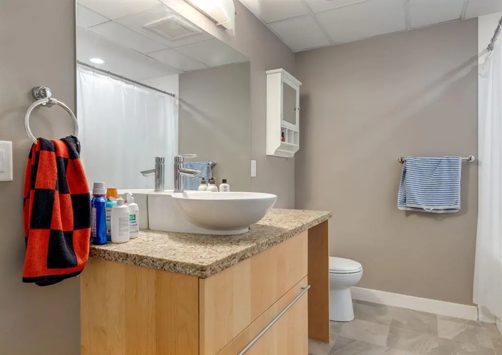 215 13 Avenue SW, #204