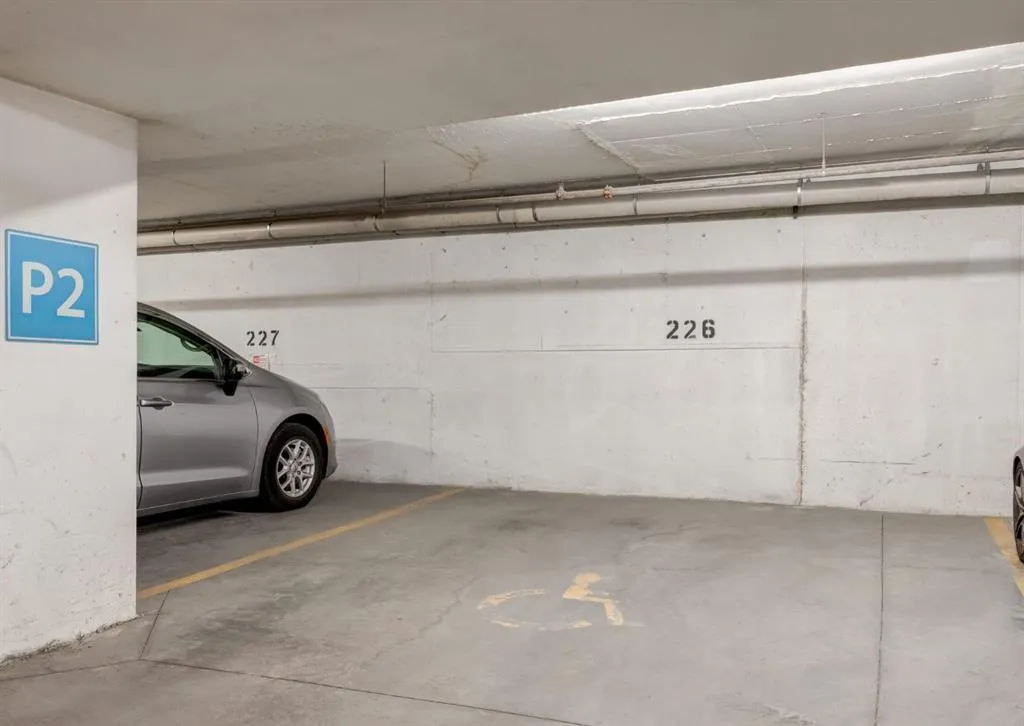 215 13 Avenue SW, #204