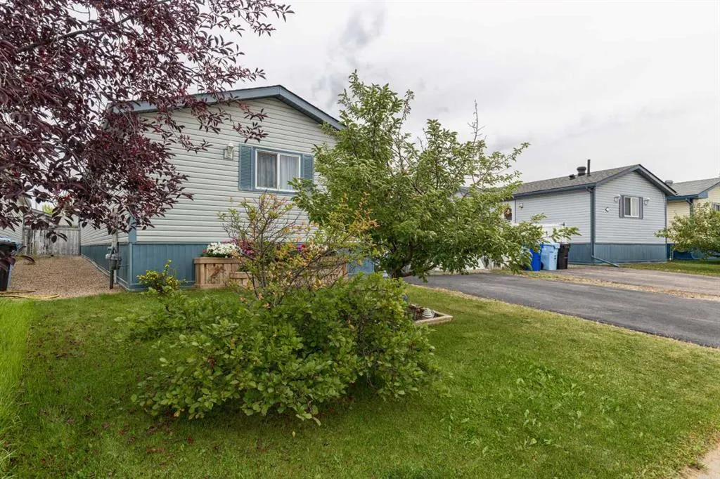 117 Mitchell Drive