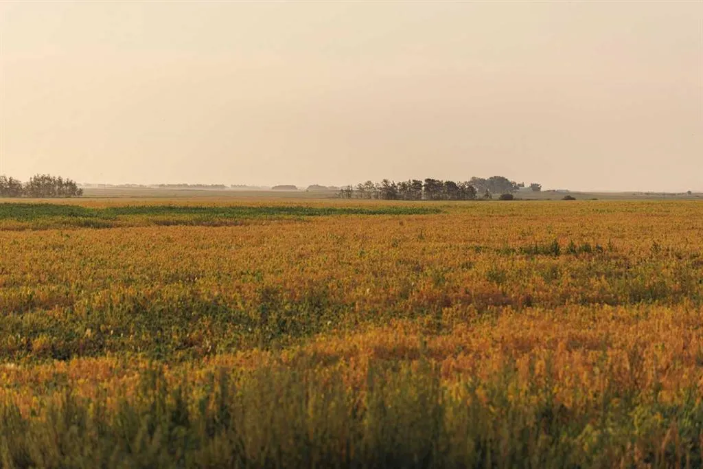 Parcel 9 Range Road 271 just south of Highway 9