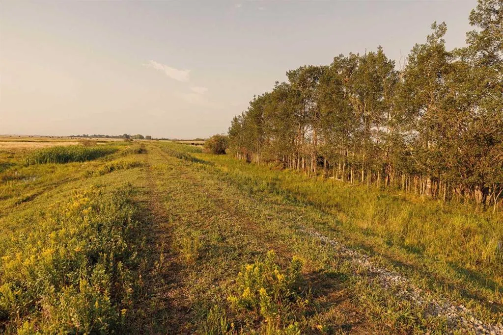 Parcel 7 Range Road 271 just south of Highway 9.