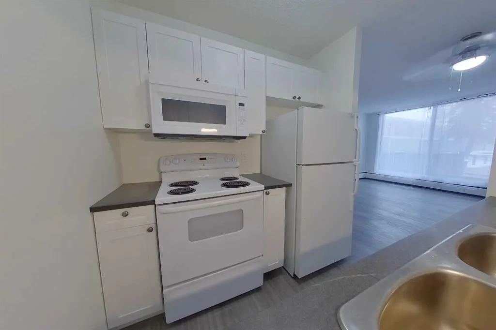 13221 Macdonald Drive, #104