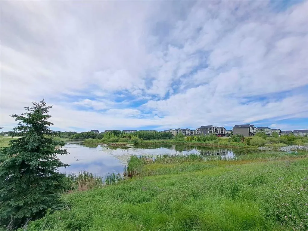250 Fireside View, #1411