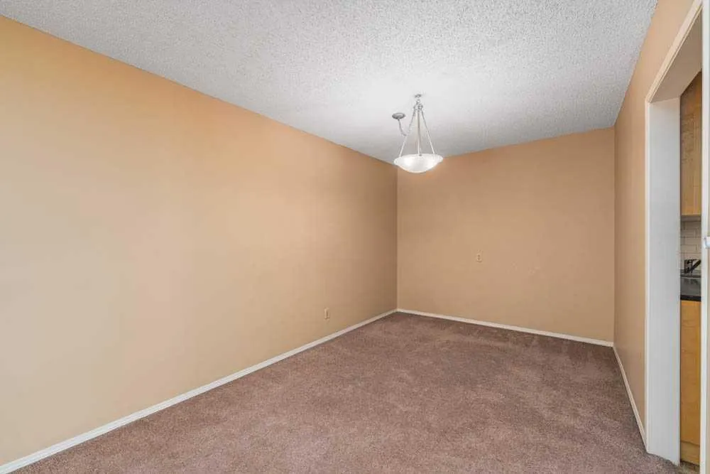 3730 50 Street NW, #316