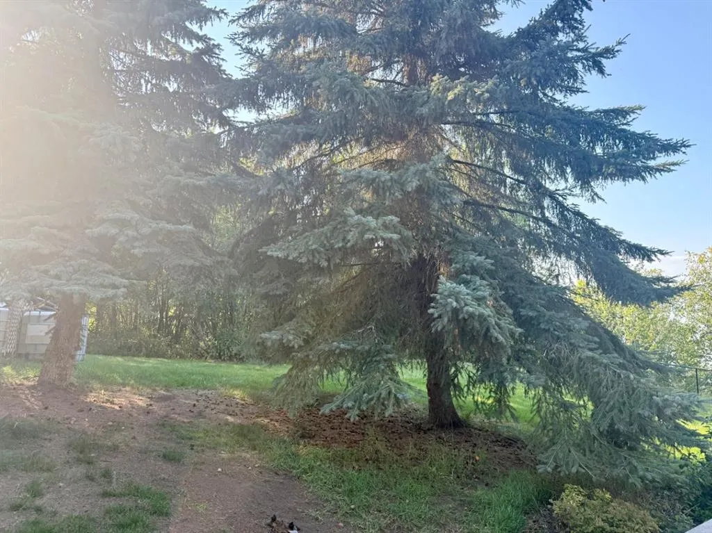 1038, 67235 Churchill Park Road