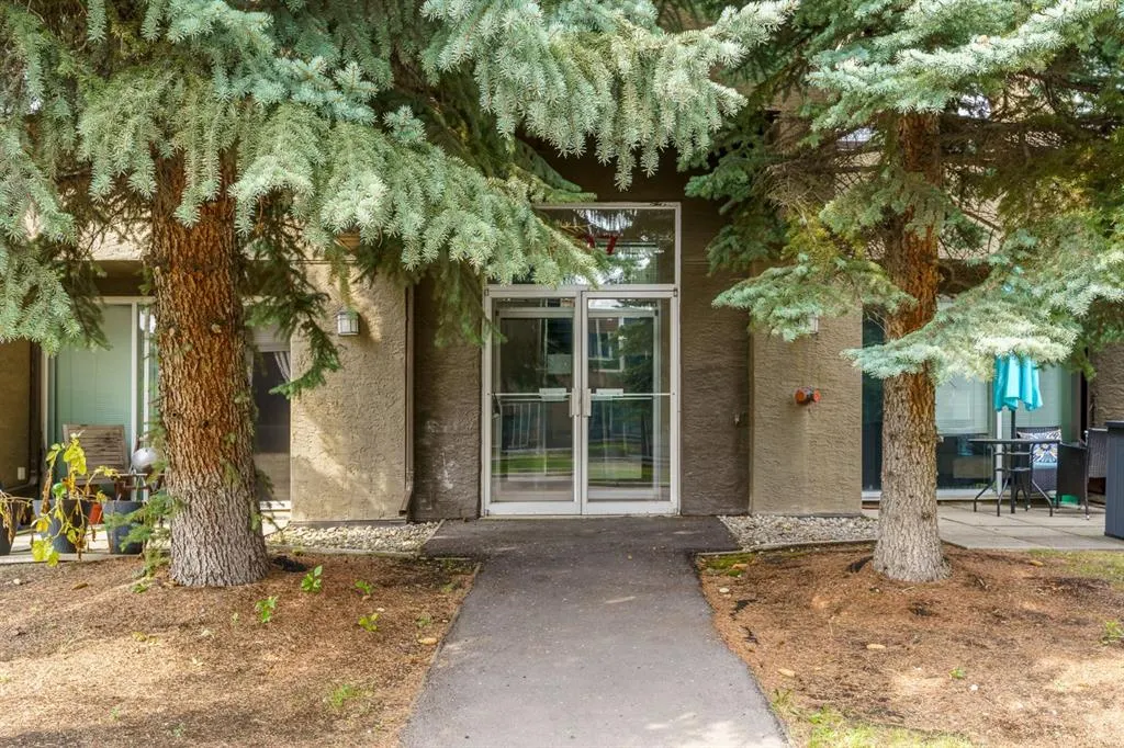 207 Village Terrace SW, #3