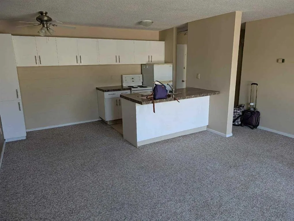 4700 55 Street, #204