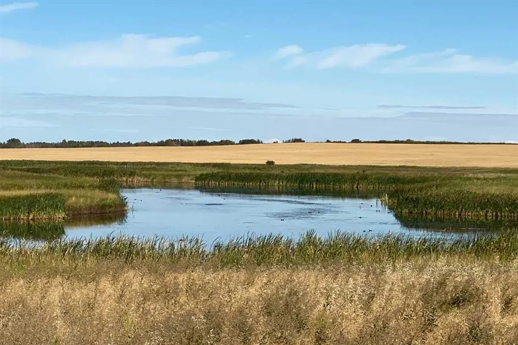 14 Belvedere Terrace SE