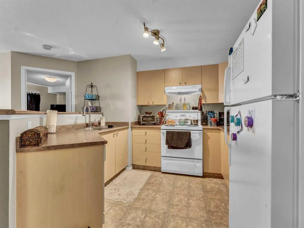 1648 Saamis Drive NW, #304