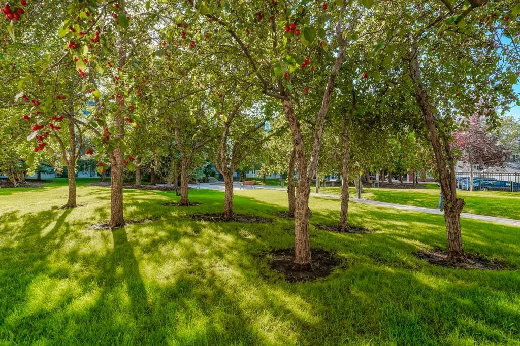 2233 34 Avenue SW, #141