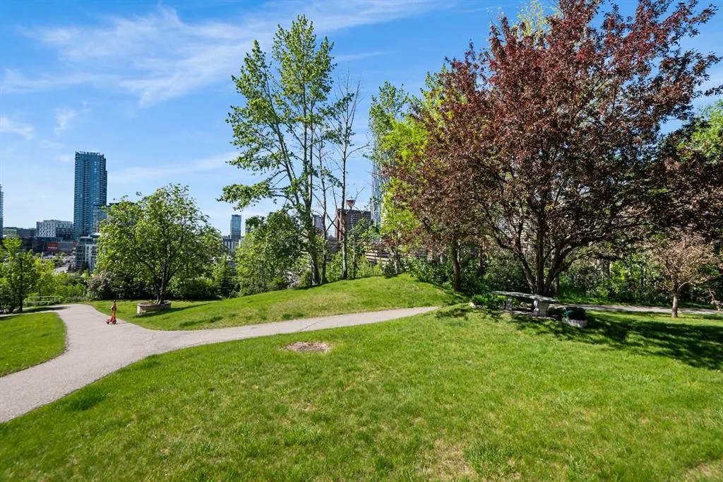 300 Meredith Road NE, #515