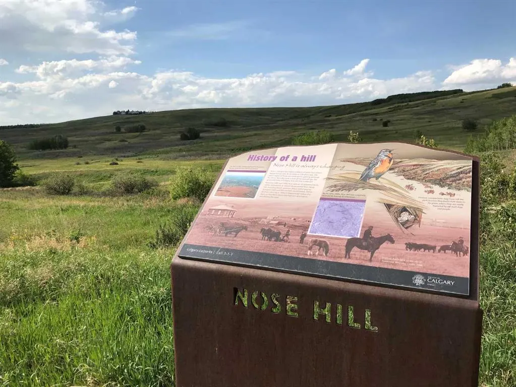 3400 Edenwold Heights NW, #1621