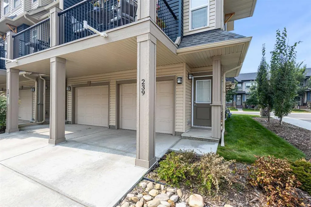 239 Legacy Common SE