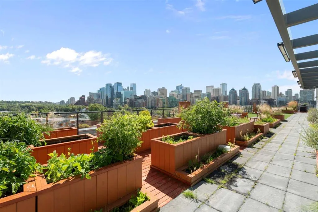 327 9A Street NW, #501