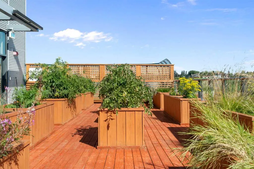 327 9A Street NW, #501