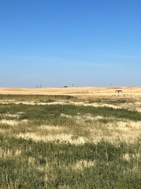 11005 Eagle Butte Rd