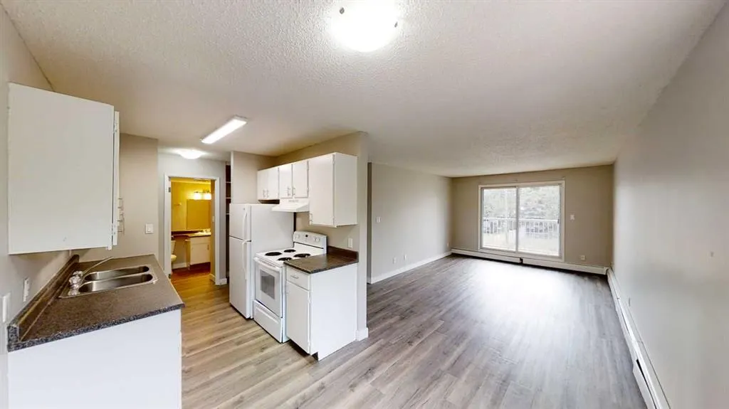 10028 105 Avenue, #12