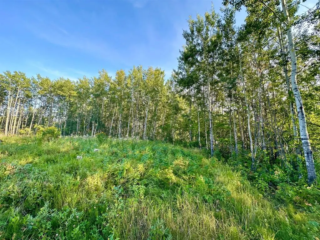 67417 McGrane Road, #123