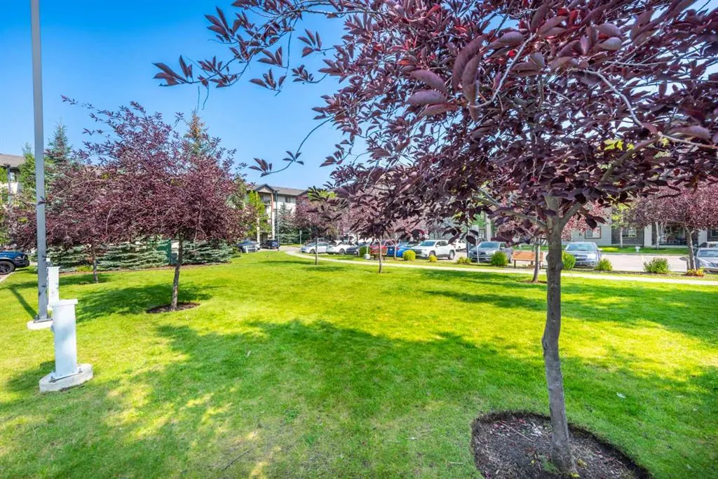 8 Bridlecrest Drive SW, #1226
