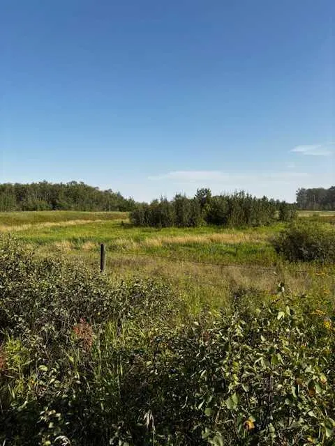 460021 RGE RD 241