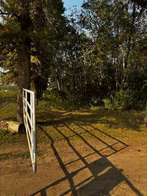 460021 RGE RD 241