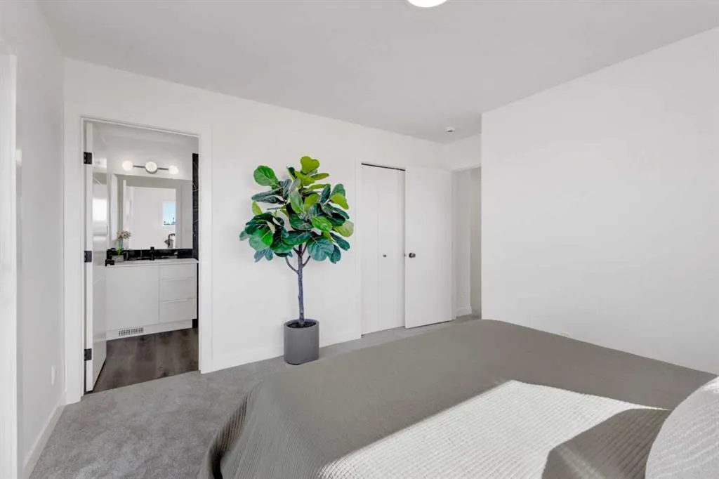 10 Violet Point