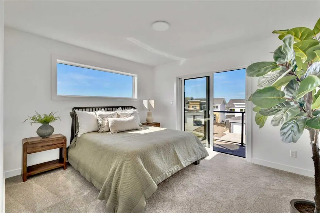 10 Violet Point