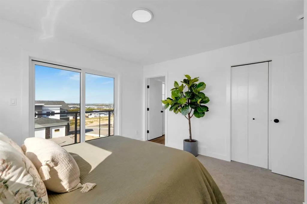 10 Violet Point