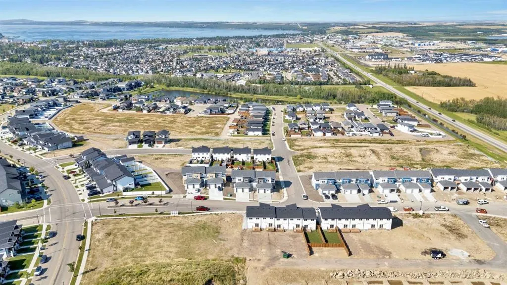 10 Violet Point
