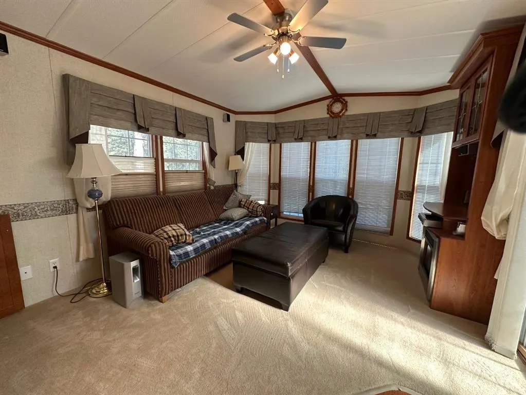 45 Timber Trail