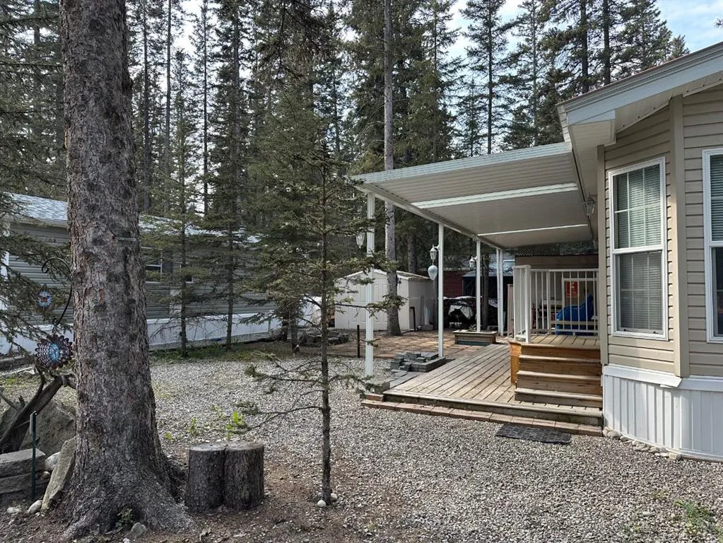 45 Timber Trail