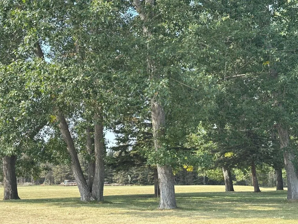 45 Timber Trail