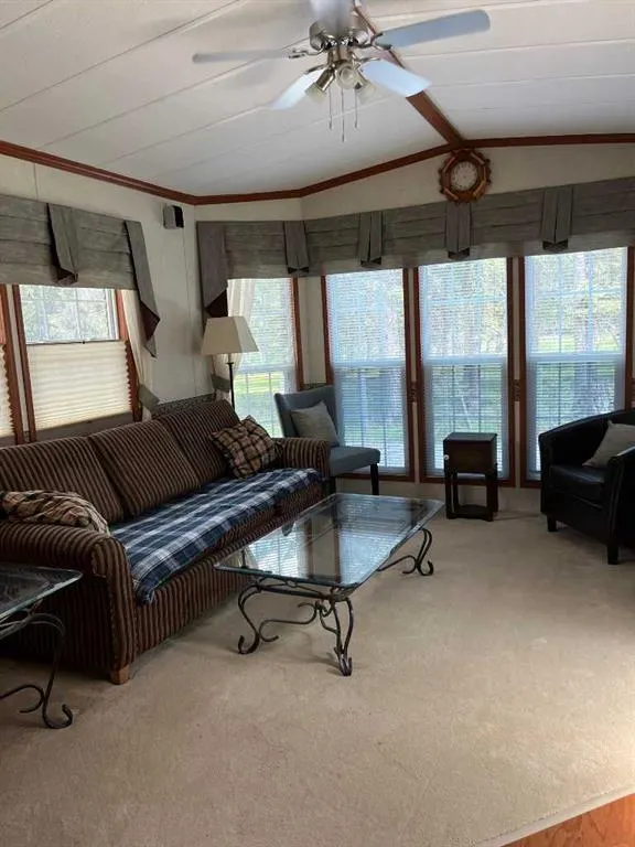 45 Timber Trail